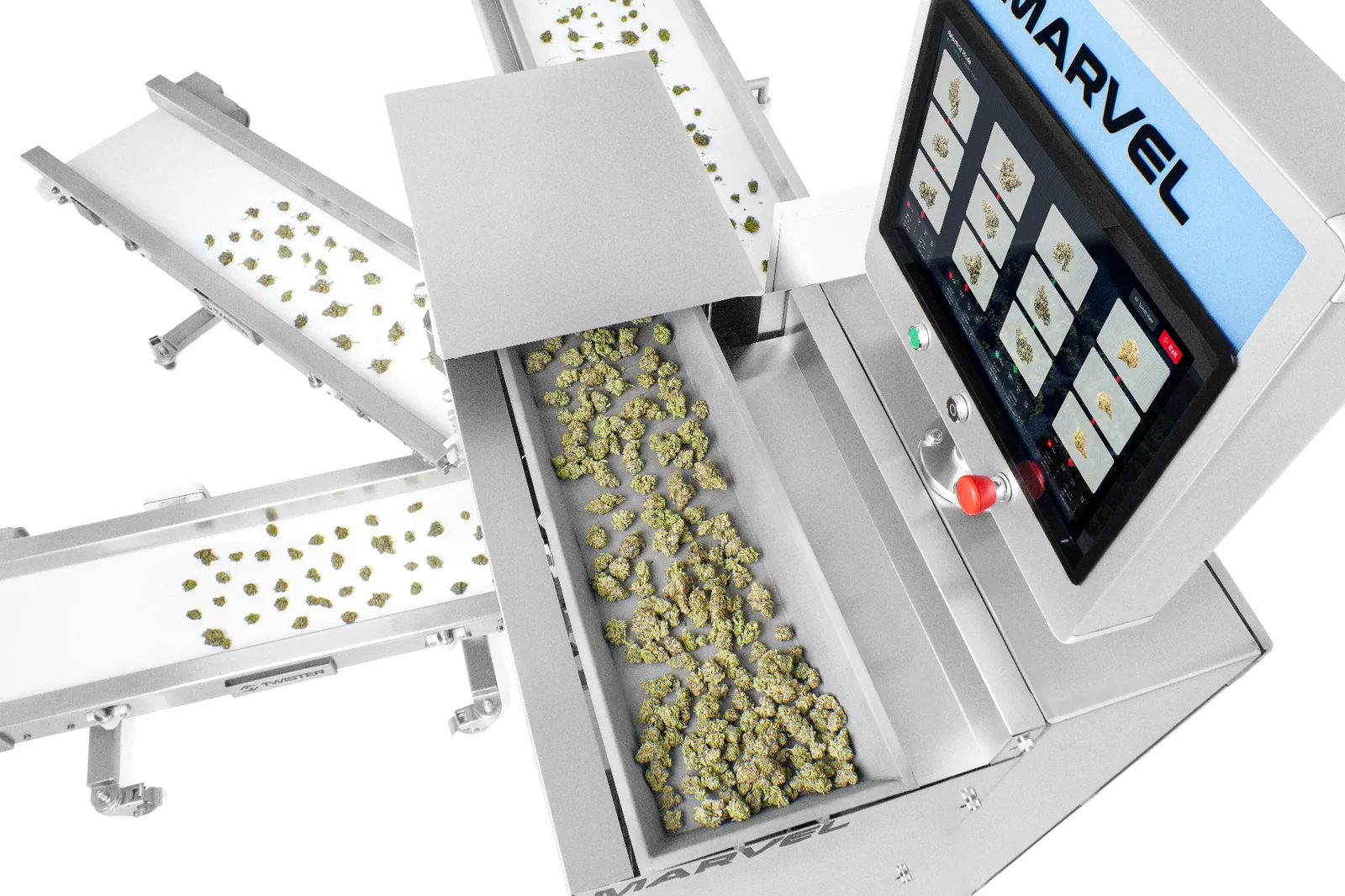 Graded cannabis flower routed to separate output conveyors on the Marvel machine