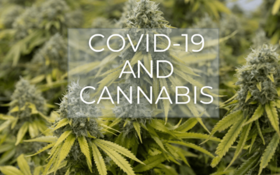 Cannabis Market Trends During COVID-19