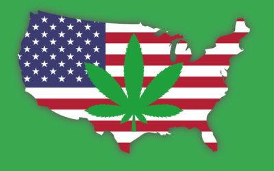 Marijuana Statistics USA 2021