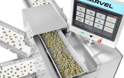 Automated Grading in Cannabis: Revolutionizing Quality Control with Advanced Vision Systems