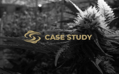 Case Study: Large Commercial Producer Reduces Labor Cost by 49% While Increasing Yield by 7%