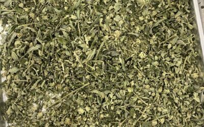 Recovering Flower From Trim: One Producer’s Numbers