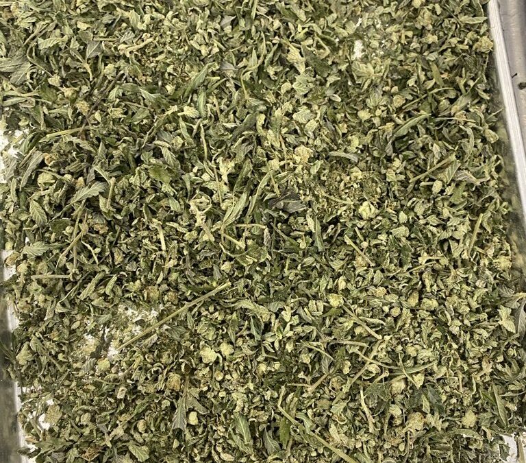 Recovering Flower From Trim: One Producer’s Numbers