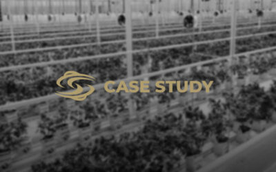 Cannabis Trimming Automation Cut Labor Cost 49% and Lifted Yield 7%